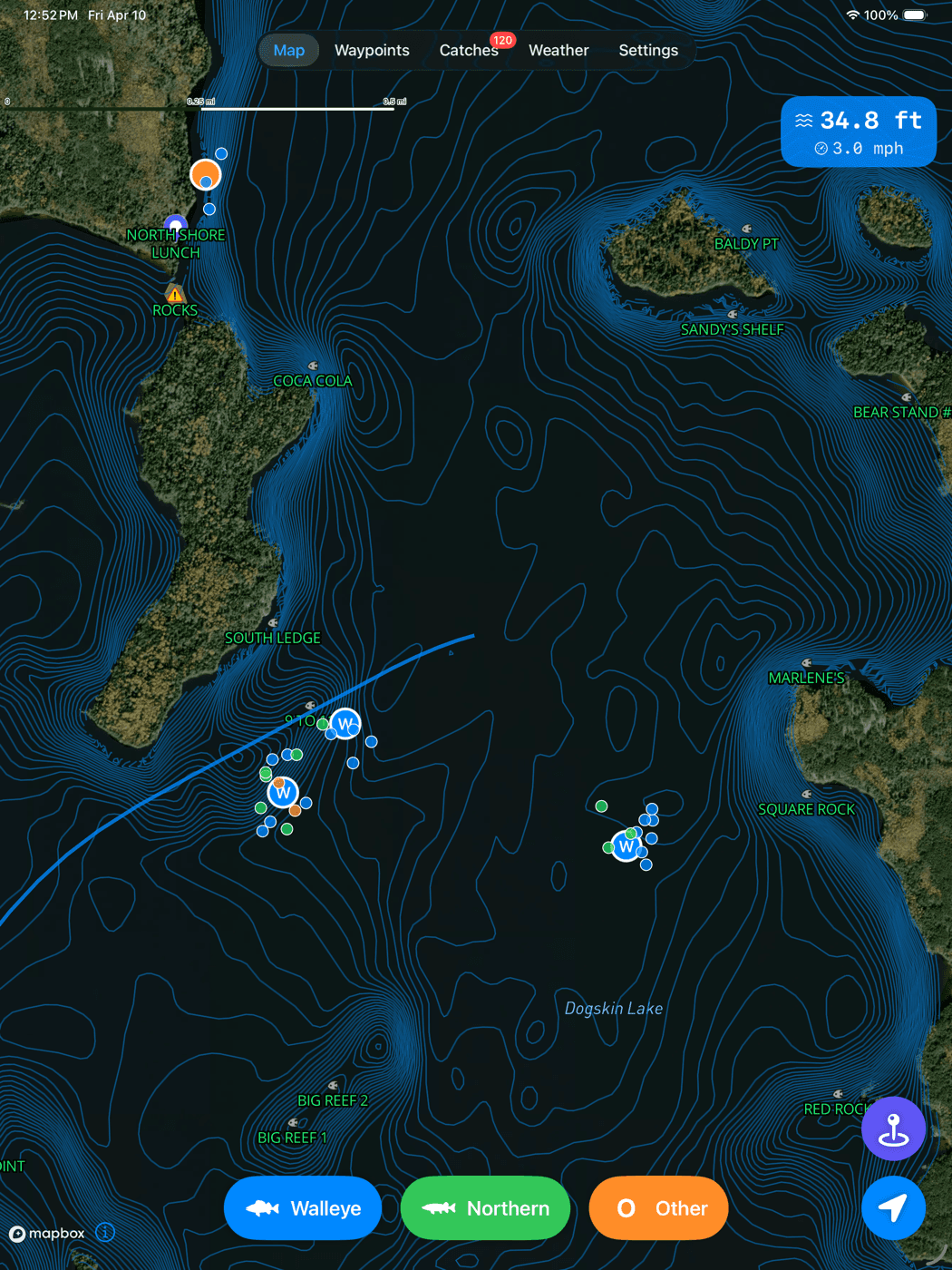 Dogskin Fishing app on iPad showing the lake map with depth contours, named waypoints, and species filters