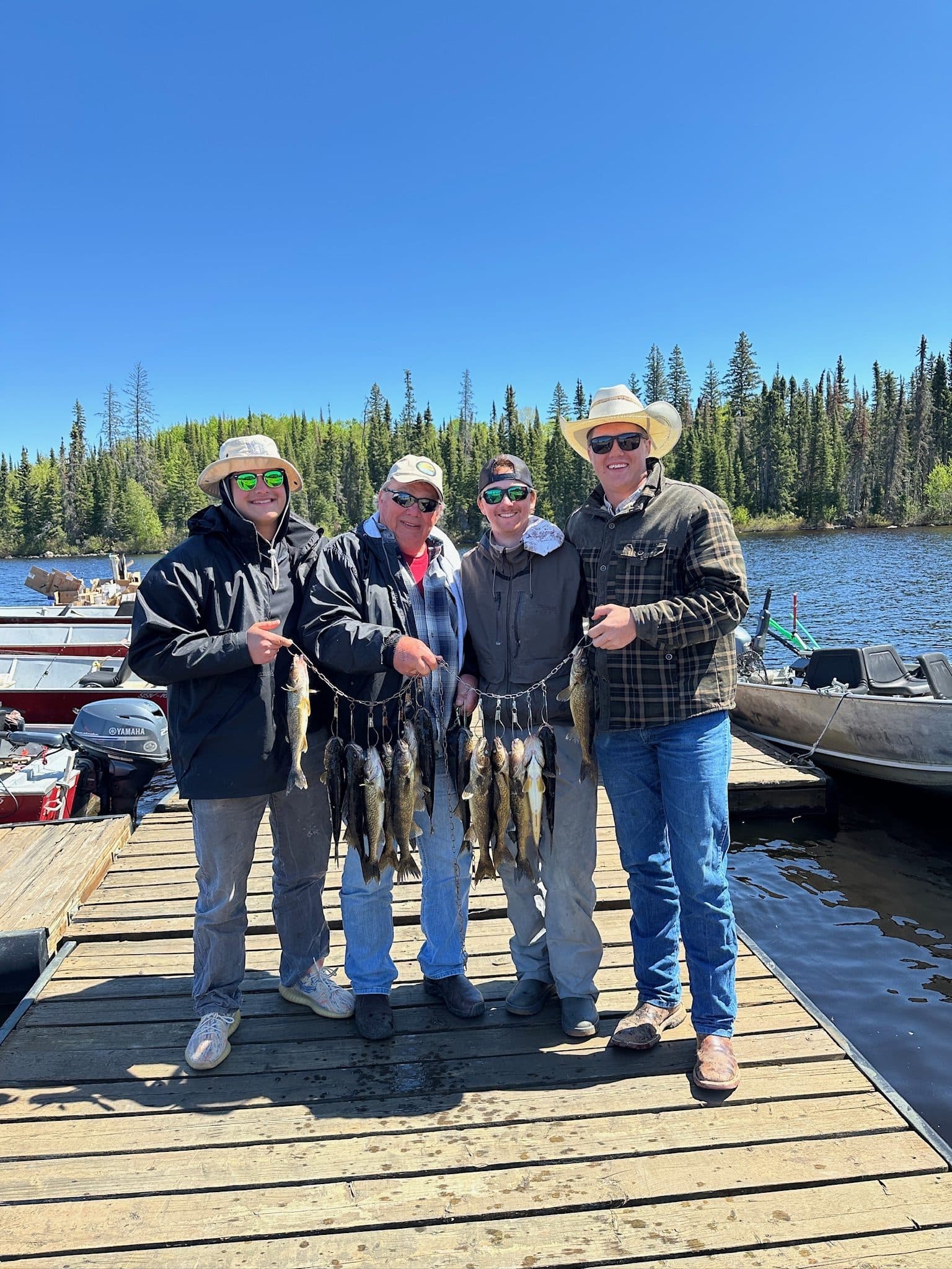 Catch display on dock