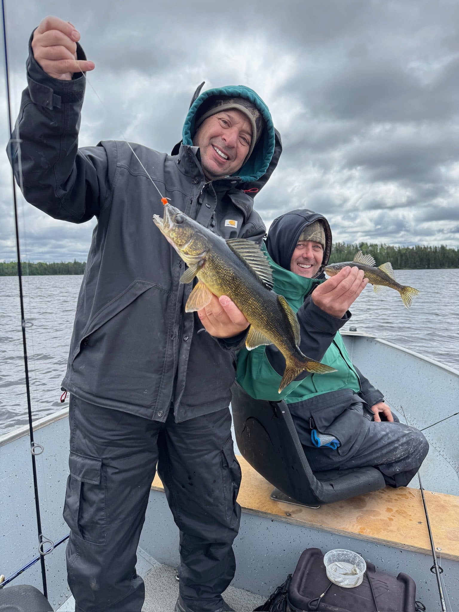Double walleye catch