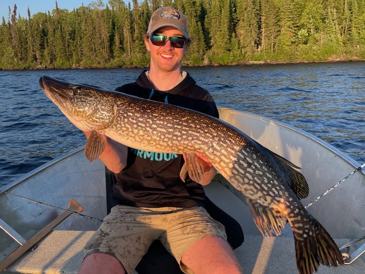 A guest with a trophy northern pike at golden hour on Dogskin Lake